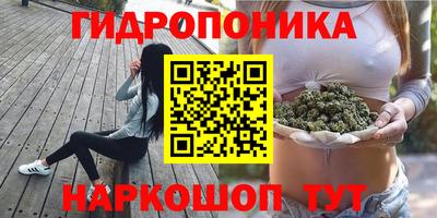 спиды Ливны