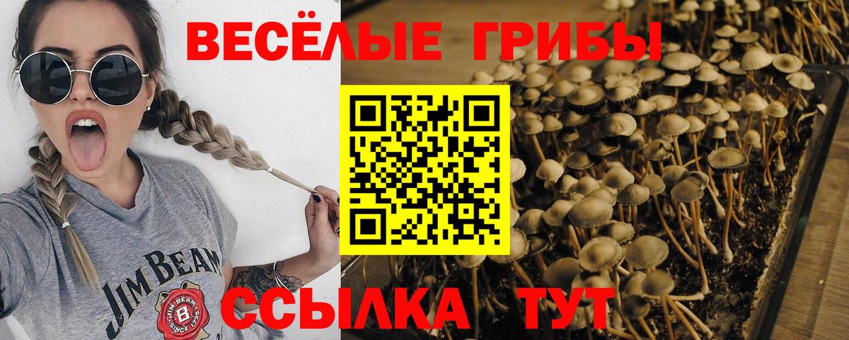 Псилоцибиновые грибы мухоморы Заволжье