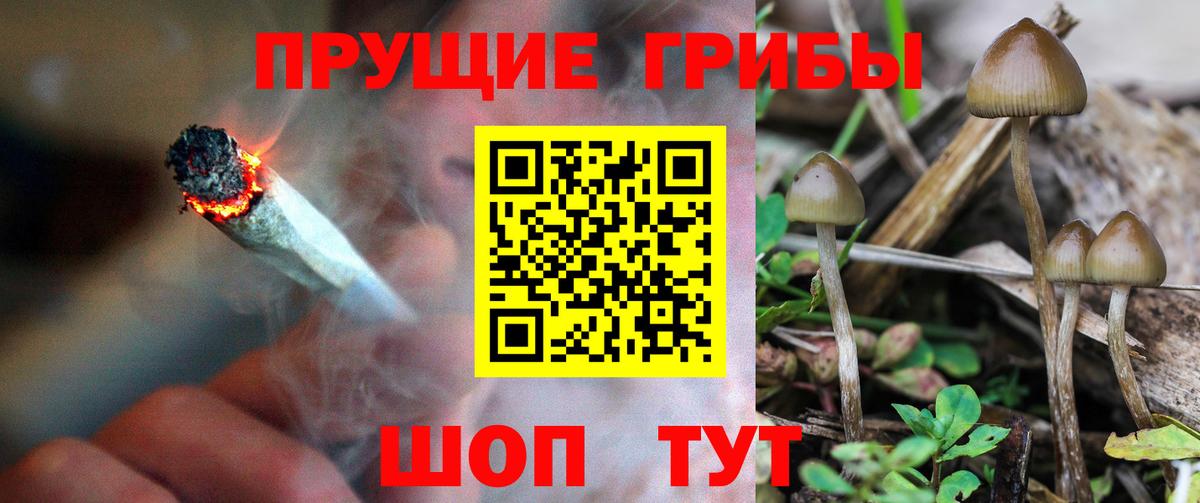 Заволжье  Псилоцибиновые грибы мицелий  наркотики  Псилоцибиновые грибы мицелий  Вход с VPN 